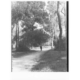 Man on pathway, rural scene