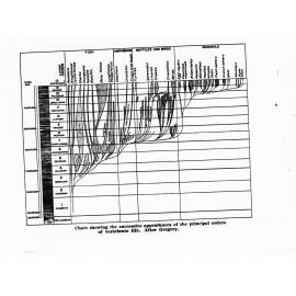 Charts showing the successive appearances of the principal orders of vertebrate life (after Gregory)
