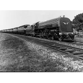 Centenary Train in Hills