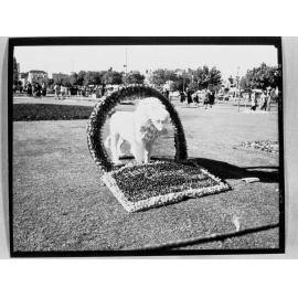 National Flower Day Festival held in Adelaide on the 21st September 1949