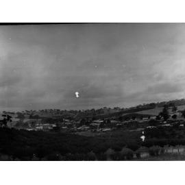 Apple orchard at Angaston, town in the distance
