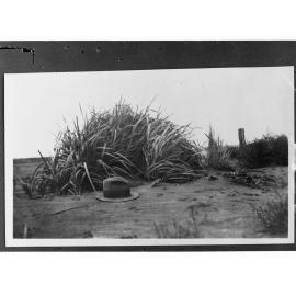 Desert Showing Tussocky Grass and Mans Hat Lying in Foreground