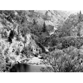 Waterfall Gully from Top of First Fall