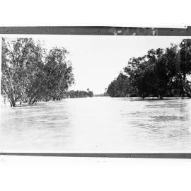 A river in flood