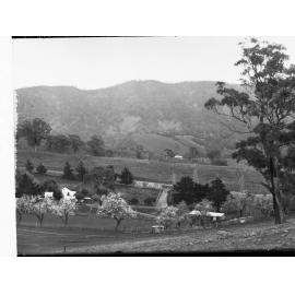 Melrose Showing Mount Remarkable in the Background
