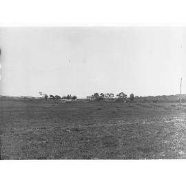 Rural view of Happy Valley - donkey and farmhouse in distance