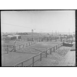 Stockyards - caption Military Horse Breakaway Claims Railway location unknown