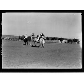 Polo Match
