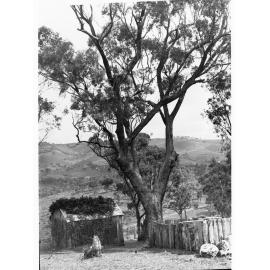 View of Minda Home's Craigburn Farm, c1920s