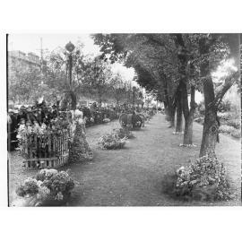 Flower Day Display on North Terrace