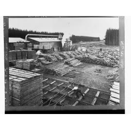 Timber Stacks at Mount Burr Mill