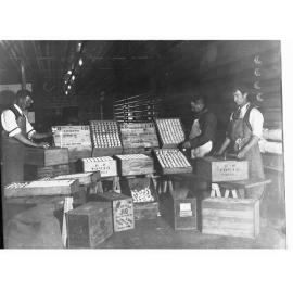 Egg Chamber at Port Adelaide Export Depot