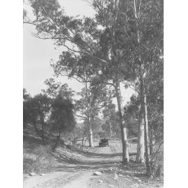 Road to Halowie from McKinley Creek