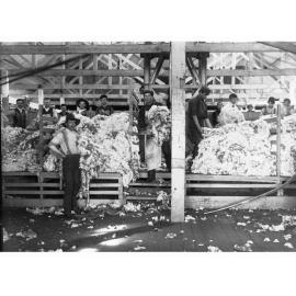Wool Classing at Hill River Station