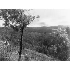 Mount Lofty ranges