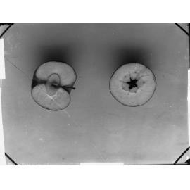Sliced apples