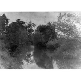 River View