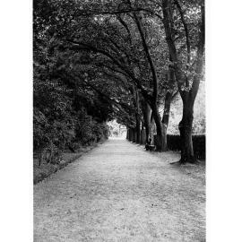 Man in Botanic Gardens