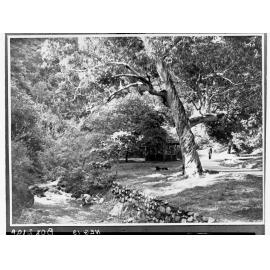 Morialta