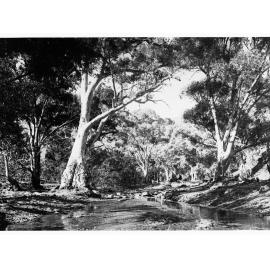 Owienagin Creek