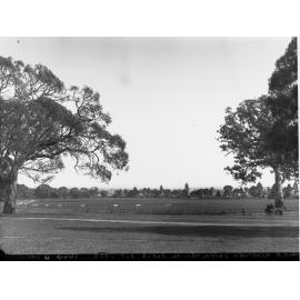 Experimental Plots at Waite Research Institute
