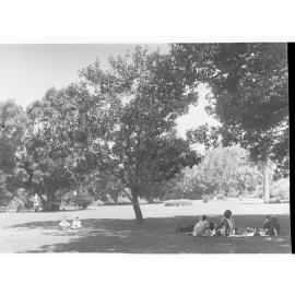 Family at Botanic Gardens having picnic
