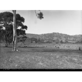 Experimental Plots at Waite Research Institute