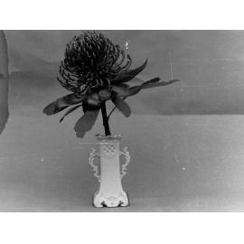 Native Flower in Vase