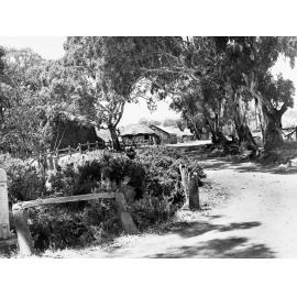 Bush Scene of  Myponga