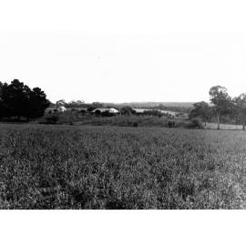 Minda Home's Craigburn Farm, 1932