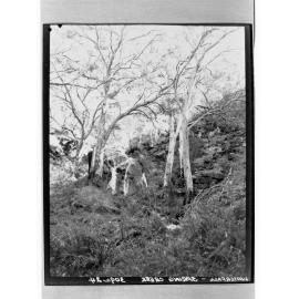 Waterfall - Spring Creek