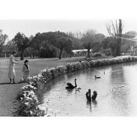 Botanic Gardens 