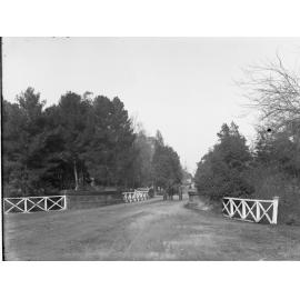 Horse and Cart on Victoria Drive, Botanic Park, Adelaide