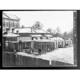 Housing on George Street and Norwood Parade, Norwood