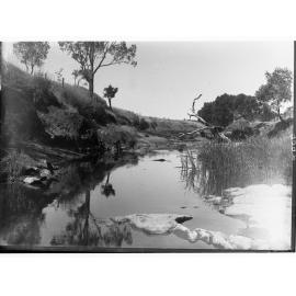 View of the Para River