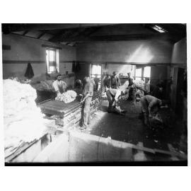 Shearing by Hand at Mount Crawford