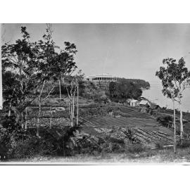 Northern Territory,  area unknown, possibly Darwin