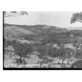 Coromandel Valley