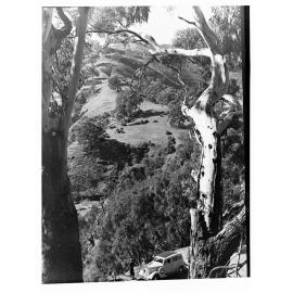 Waterfall Gully 