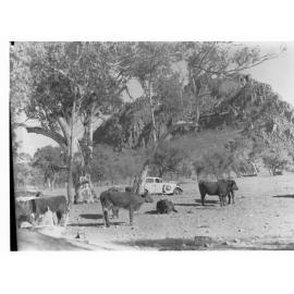 Automobile at Attack Gap