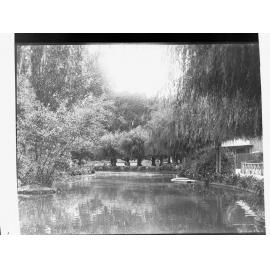 The Botanic Gardens