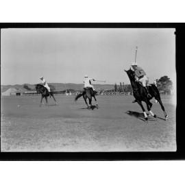 Polo Match 
