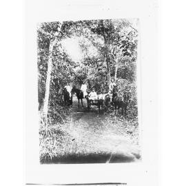 Northern Territory - men on horseback