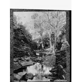 Creek, unknown location