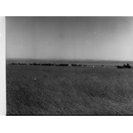 Lake View Field Trials Harvesters in a field
