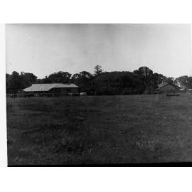 Dairy herd at Minda Home, 1932