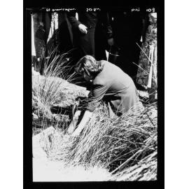 Port Lincoln (woman crouched down in long grass/reeds)