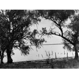 Lake Bonney Murray River