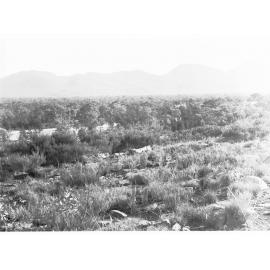 Bush scene with mountains in the distance - location unknown