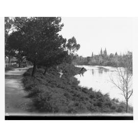River Torrens looking towards Angas Gardens 